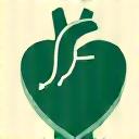 Cardiovascular health icon